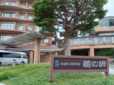 全てでスケールが大きい