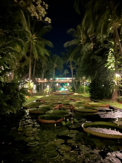 素敵なライトアップ