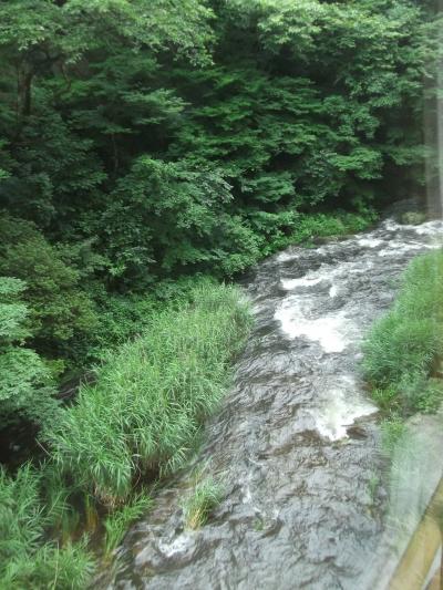 自然の中に囲まれた温泉宿