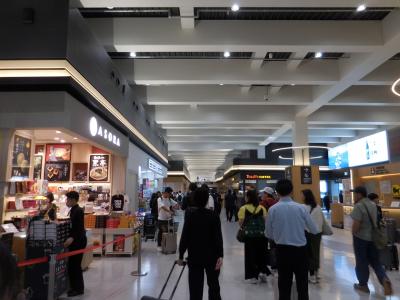 到着時の利用、きれいな空港です。