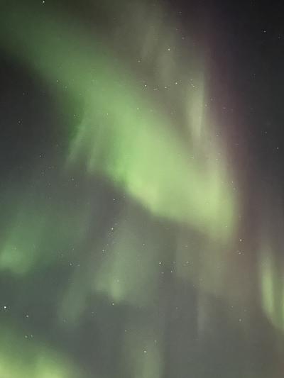 撮影スキルがないので綺麗な画像になりません。