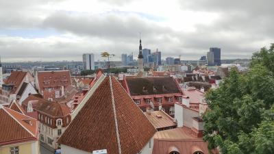 旧市街を一望できる展望台