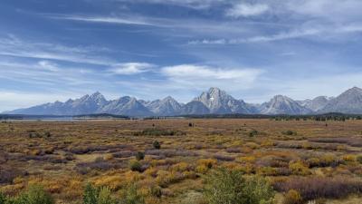 草紅葉が素晴らしい