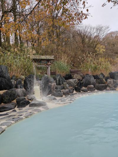 最高！源泉かけ流し白濁温泉