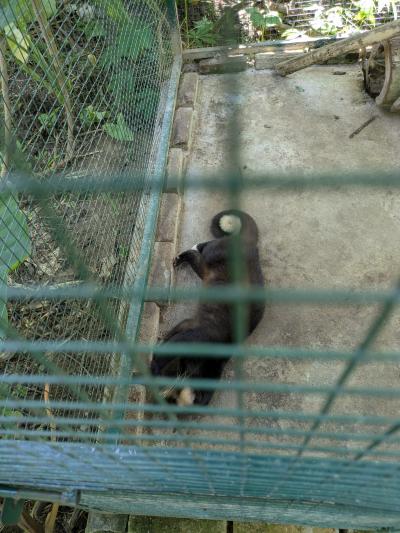 景色の良いコーヒー店