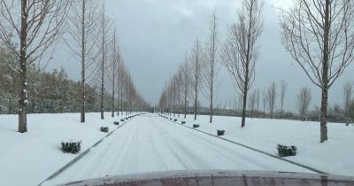 特に景色とレストラン素敵でした。