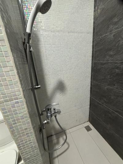 シャワーのみ。バスタブはありません。