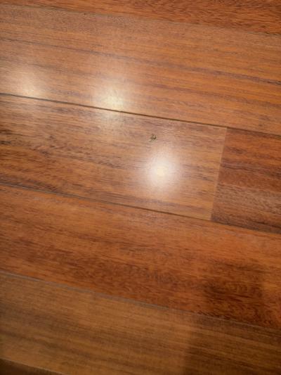 部屋に入るなり　ゴミが目立つ