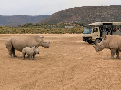 サファリと言うより、サファリパーク