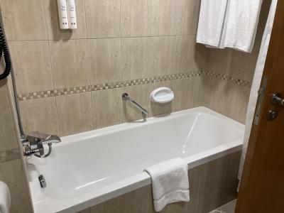 エミレーツのドバイコネクトで利用