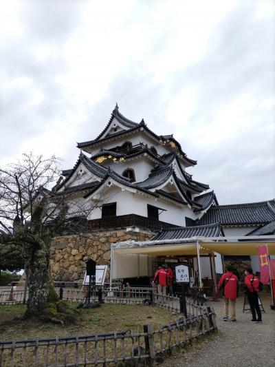 小ぶりな城だが大きく見える名城