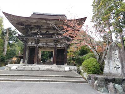 広い境内で見どころが多い三井寺