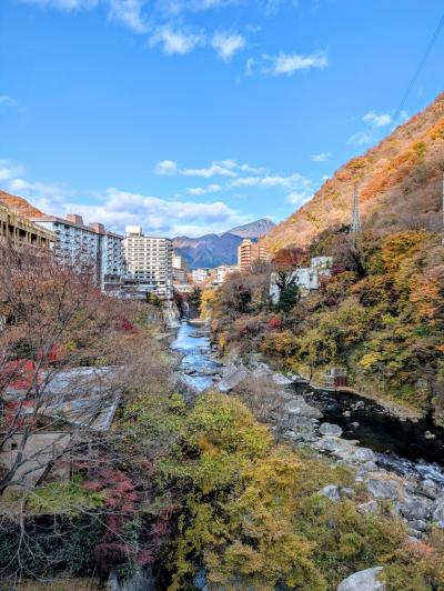 鬼怒川温泉ふれあい橋 紅葉の景色がとても良かったです
