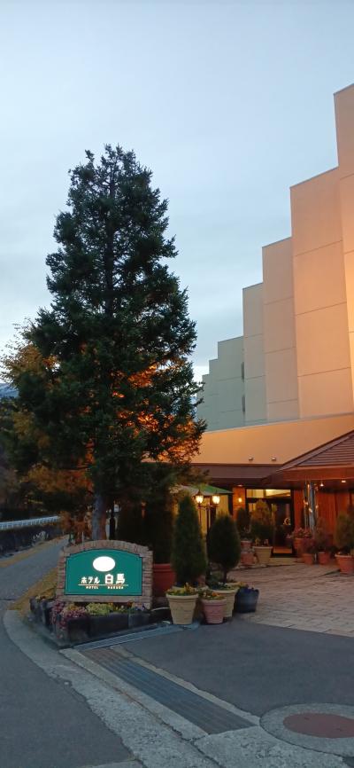 全体として少し辛口の評価です、温泉の泉質は、とても肌になじんで気持ち良かったです