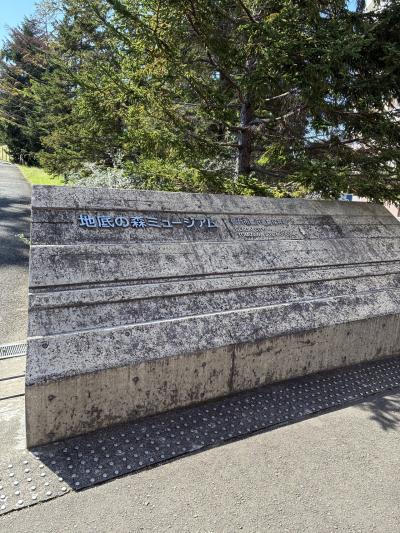 地底の森ミュージアム