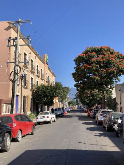 中心部まで徒歩圏内、部屋広い