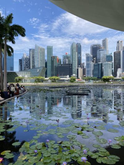 テラスでのんびり♪