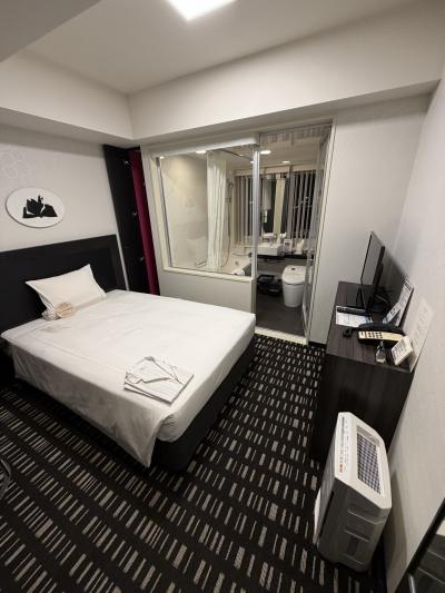 乗り継ぎの前泊で利用