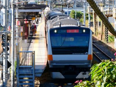 青梅特快のグリーン車の乗車率