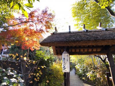 強羅駅からすぐそば
