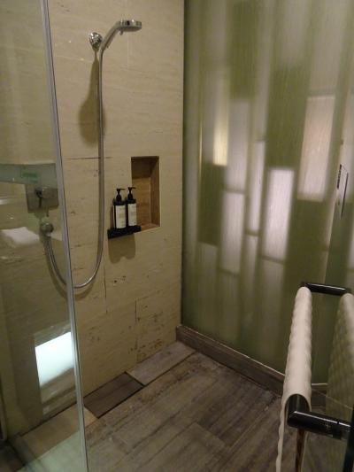 シャワーのみです