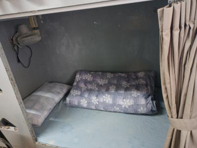 Mが出ました。虫も出た。