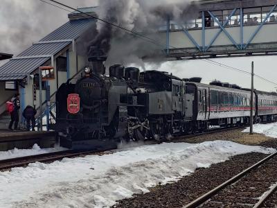 冬の釧路湿原を力強く疾走