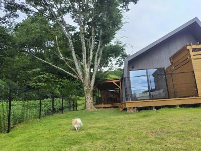 ワンコとゆったりできる