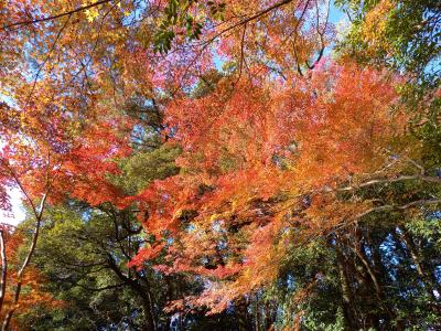 平安神宮で紅葉狩り