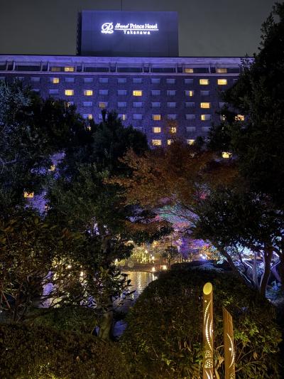 日本庭園のイルミネーション