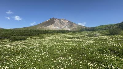 広大な山の風景が一望