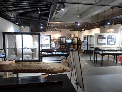 札幌の北大総合博物館をさらに上回るオタク度アップぶりに悶絶