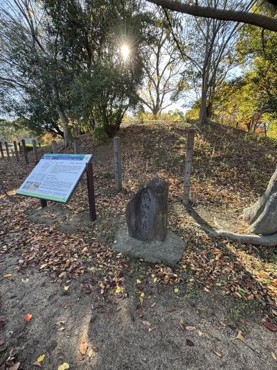 円墳の古墳。仁徳天皇陵の陪塚の一つ。