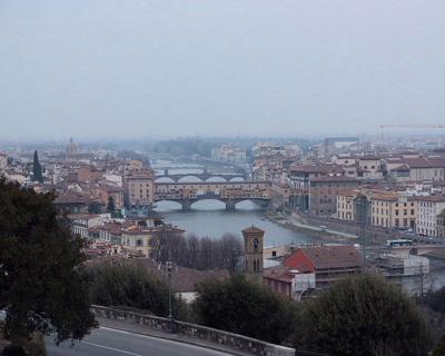 ハイイロガラスが見られました。