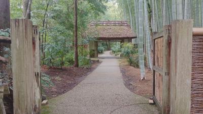 10月の平日一番乗りのとらや工房