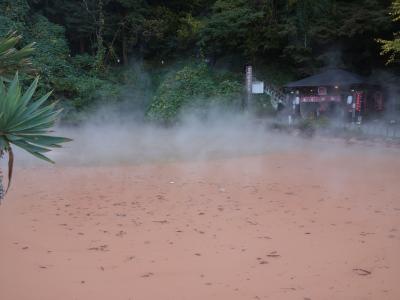 入場料５００円。その価値があるのだろうか。