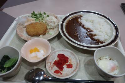 二食付きでコスパ抜群