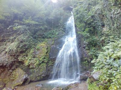 世界でも稀な温帯多雨林「コルキス雨林」