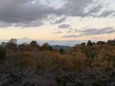 マウンテンビューの客室からは、真正面に富士山が