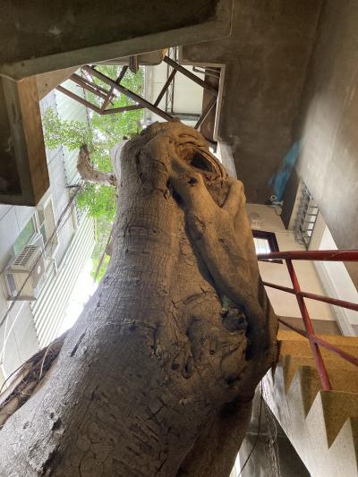 神農街のつきあたり