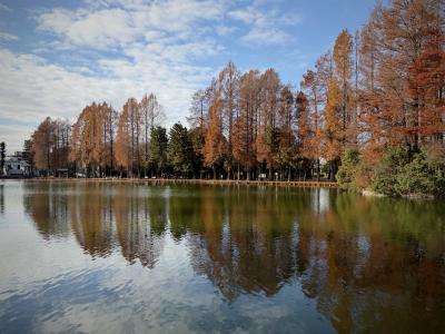 紅葉は終わりましたが良い景色です。