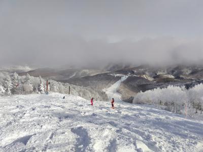 シーズンインで神雪！