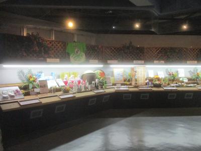 入場料は４００円