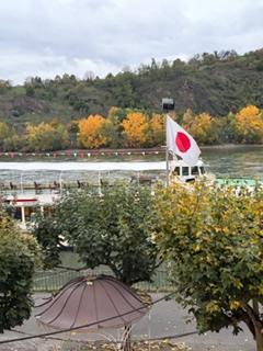 交通の便がよいライン川沿いのホテル