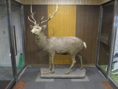 根室グランドホテル