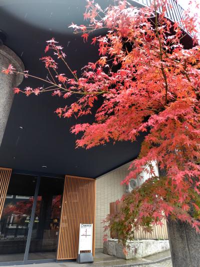 強羅公園のそばにあります