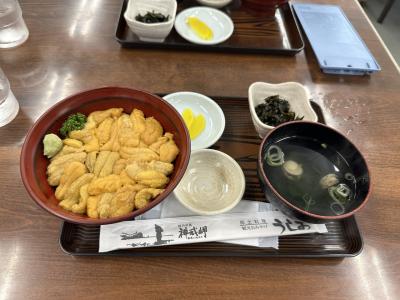 来年はどうだろう、地元産のウニは希少、高騰続く