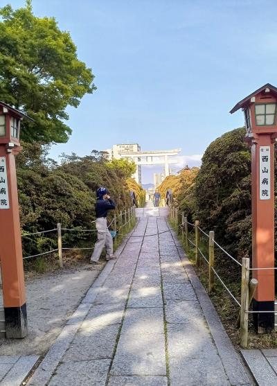 京都市内中心のスタイリッシュなヒルトンホテル