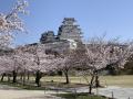 姫路城 (姫路公園)