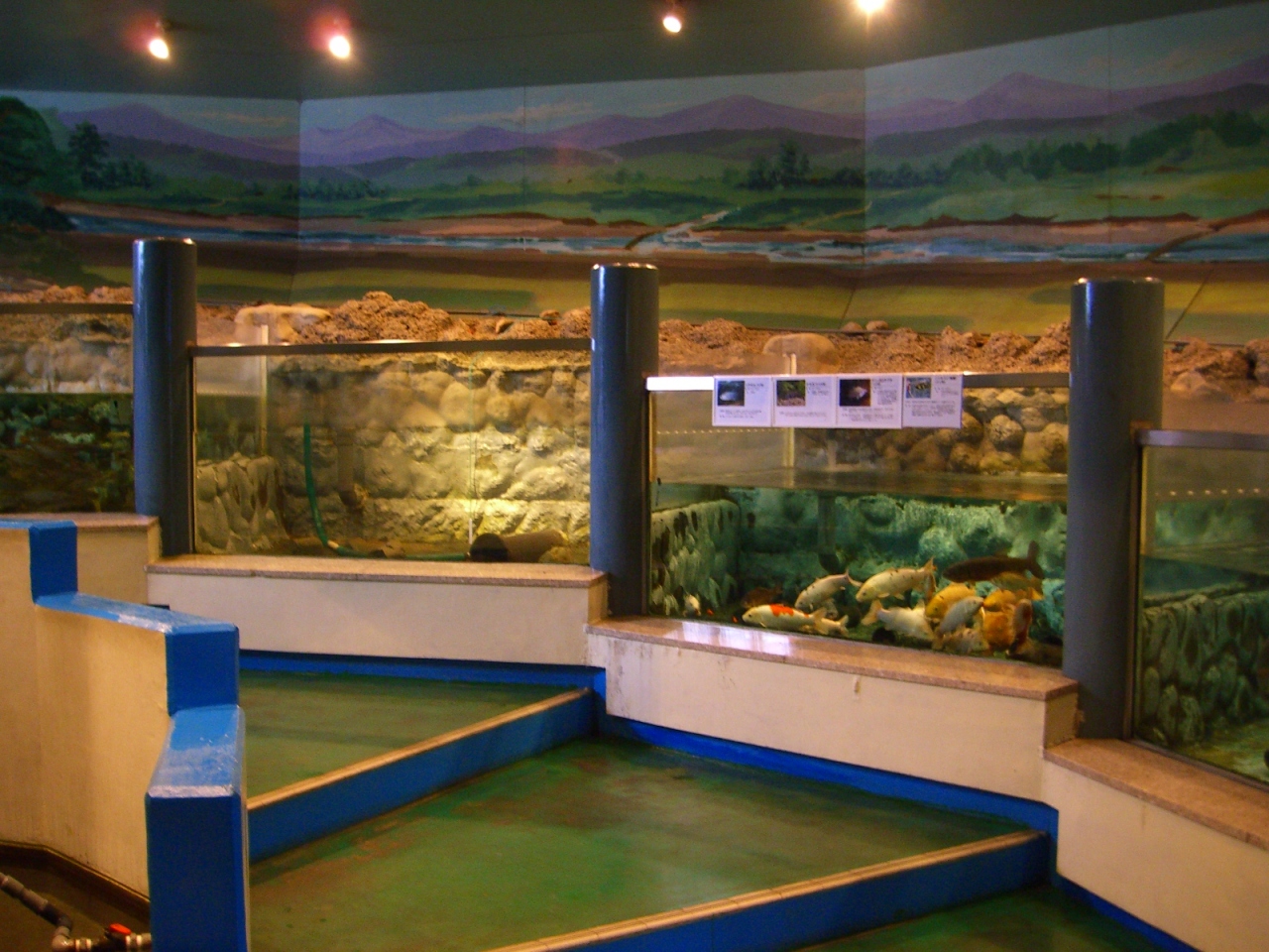 山方自然生態観察施設淡水魚館